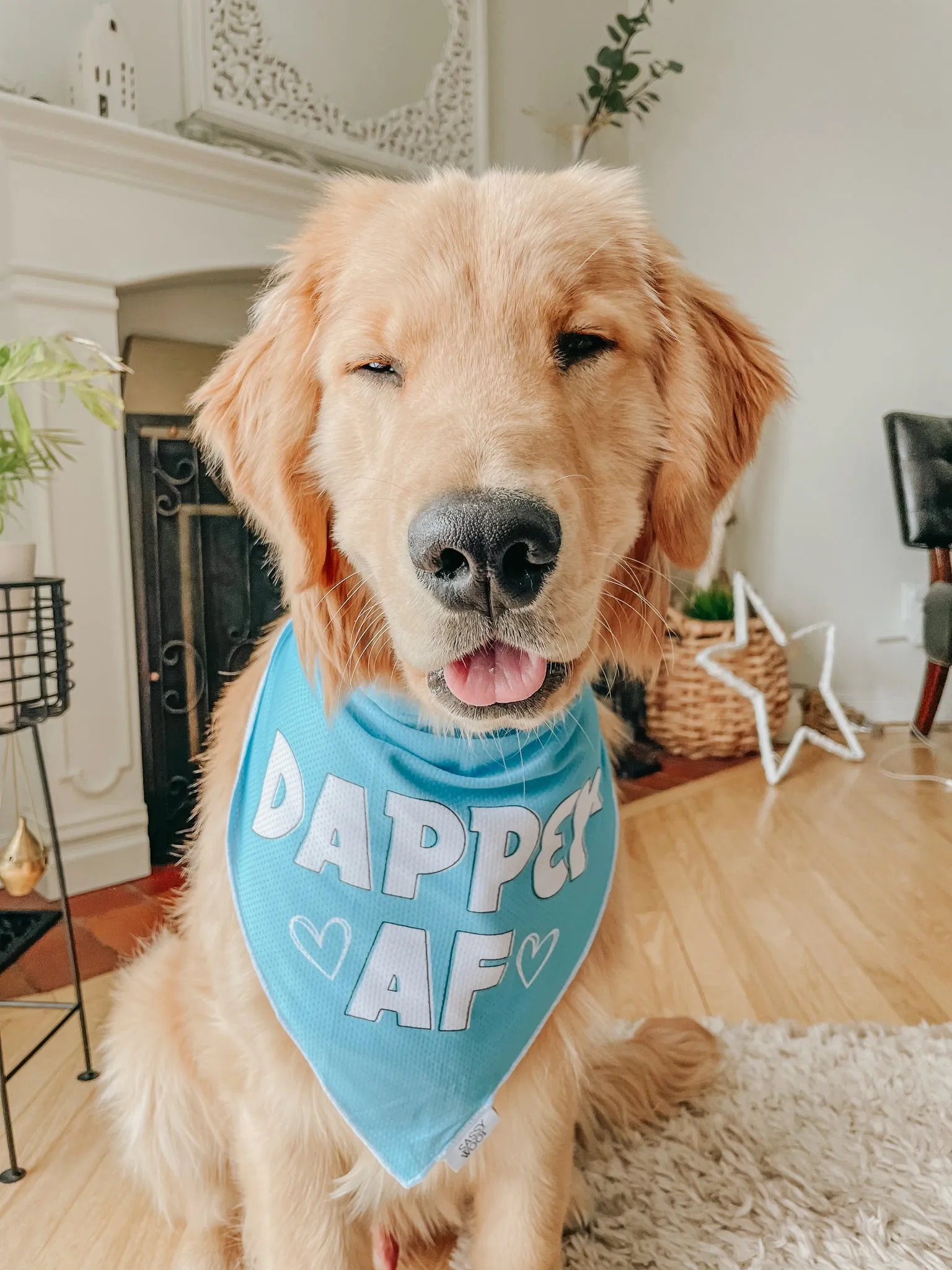 Dog Bandana - Dapper AF