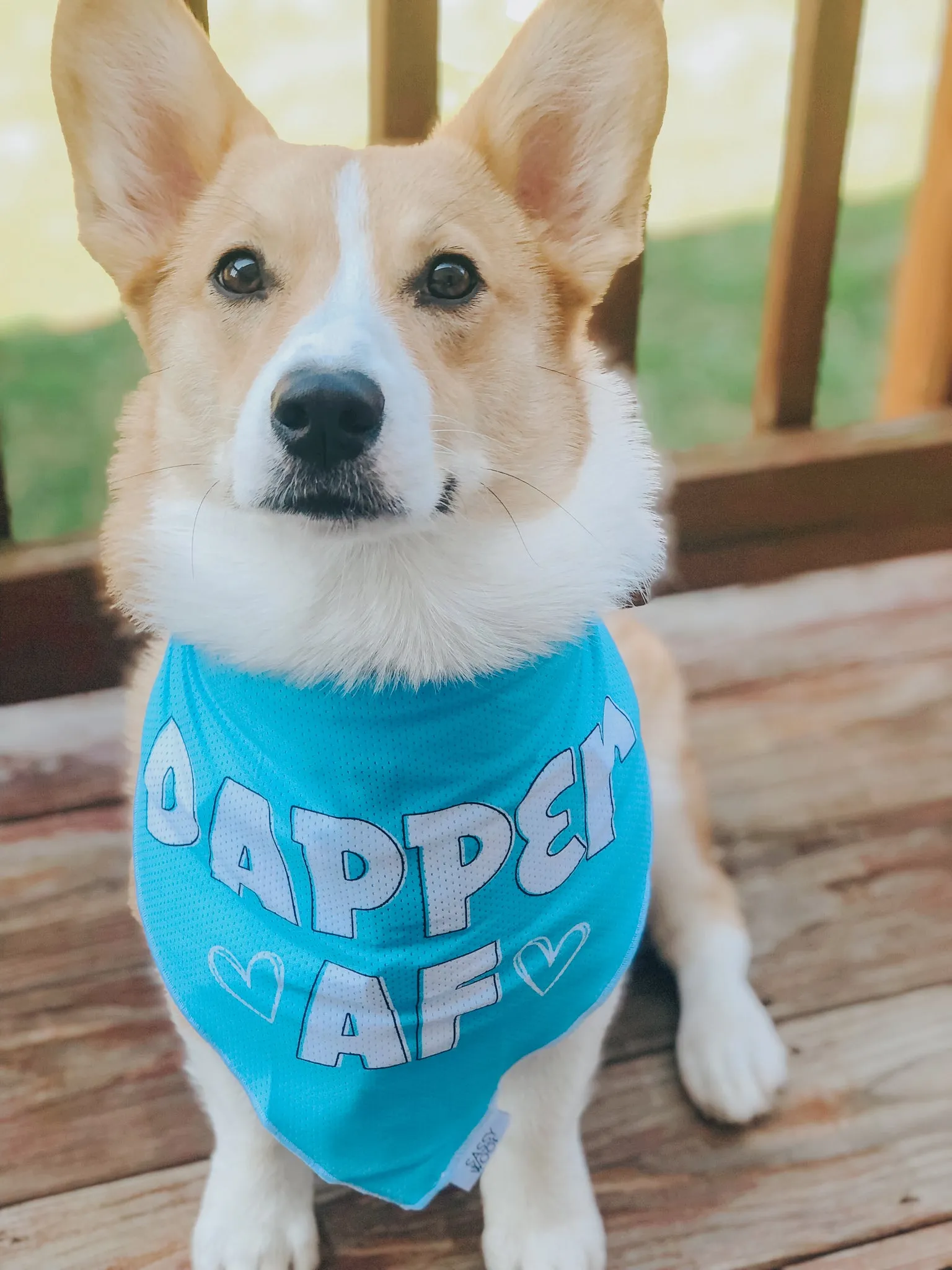 Dog Bandana - Dapper AF
