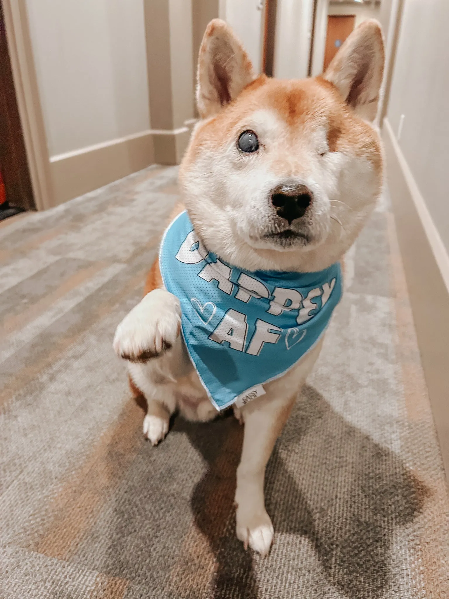 Dog Bandana - Dapper AF