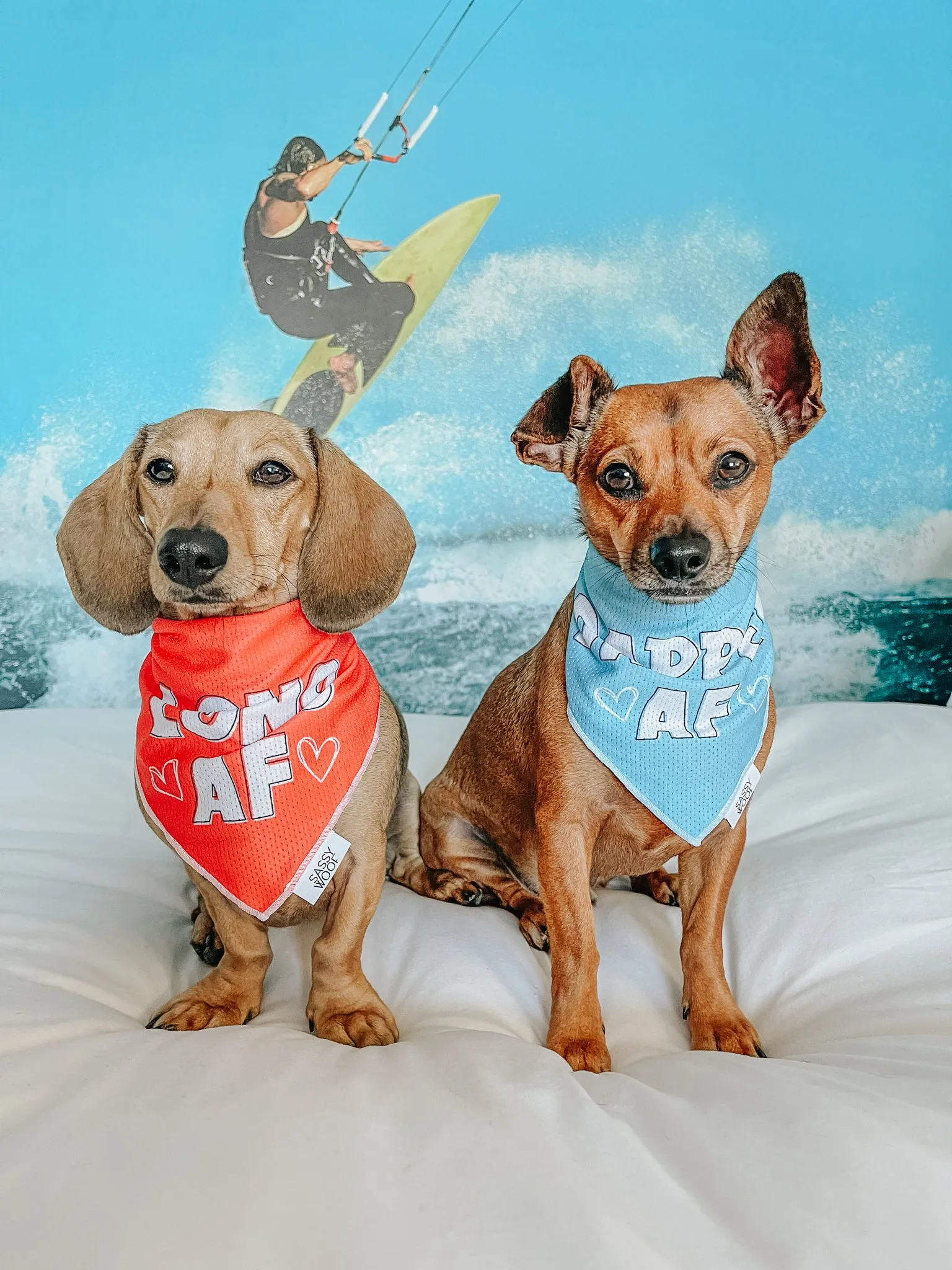 Dog Bandana - Dapper AF