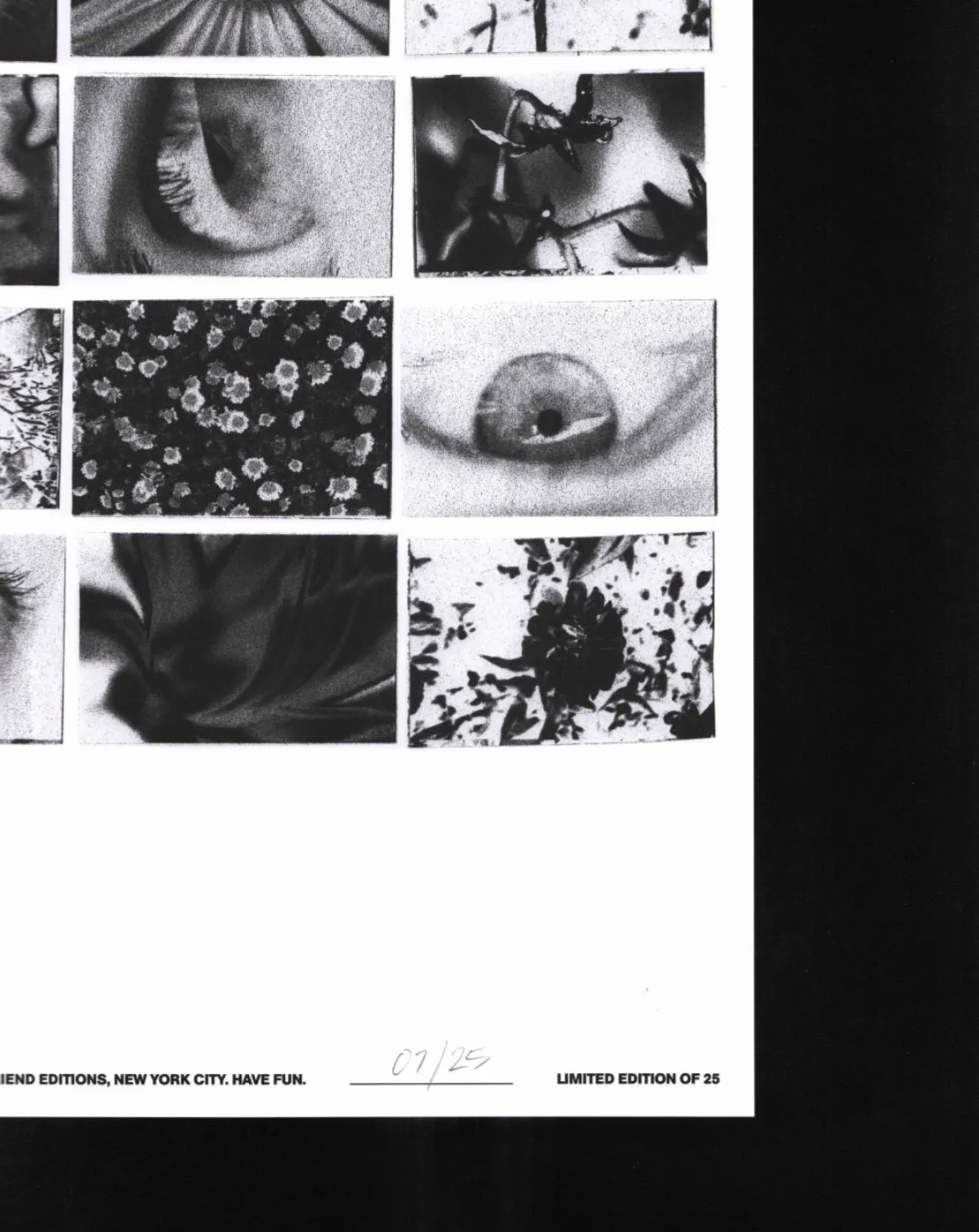 IRIS (Poster taken by Colin Sussingham) / Friend Editions