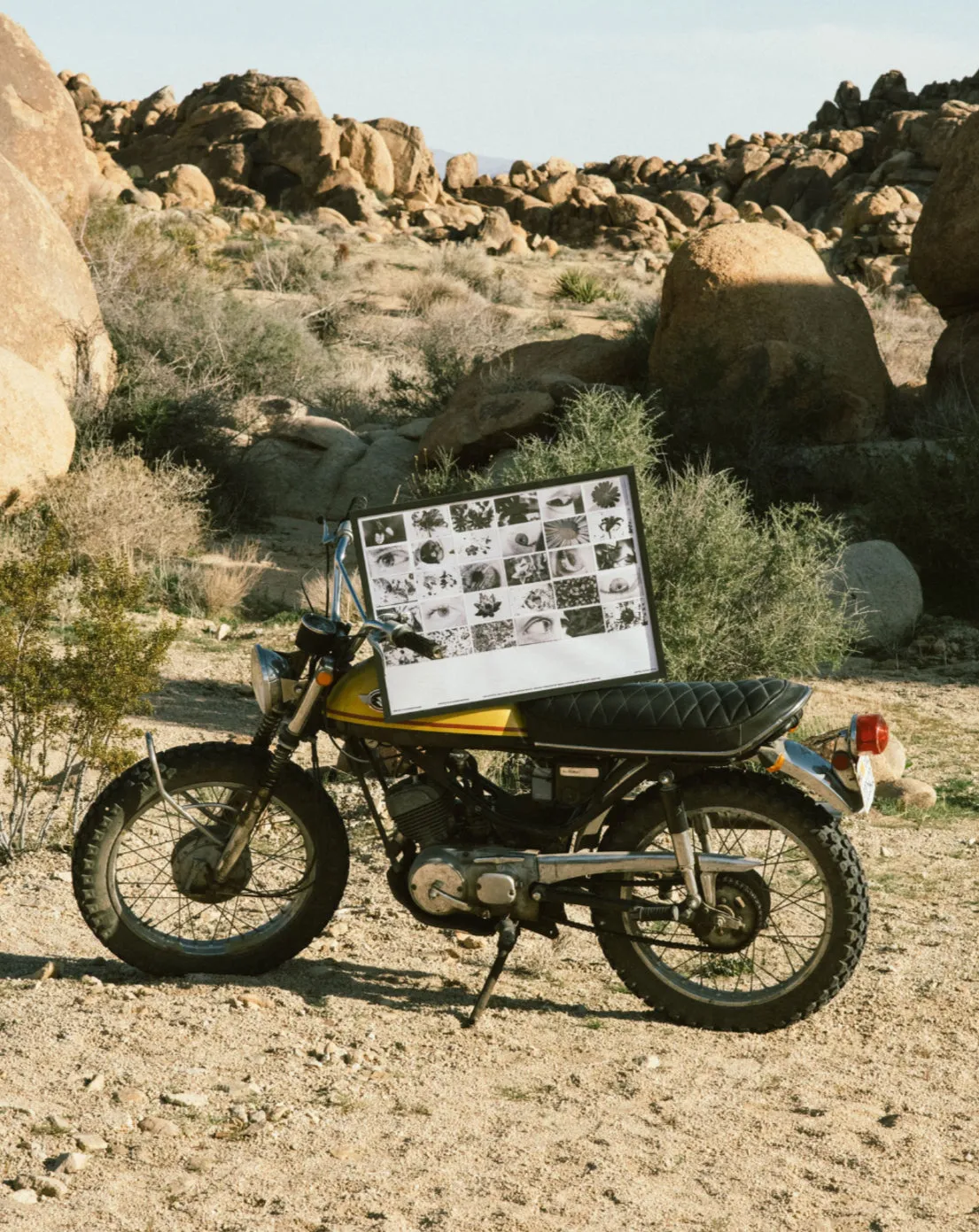 IRIS (Poster taken by Colin Sussingham) / Friend Editions