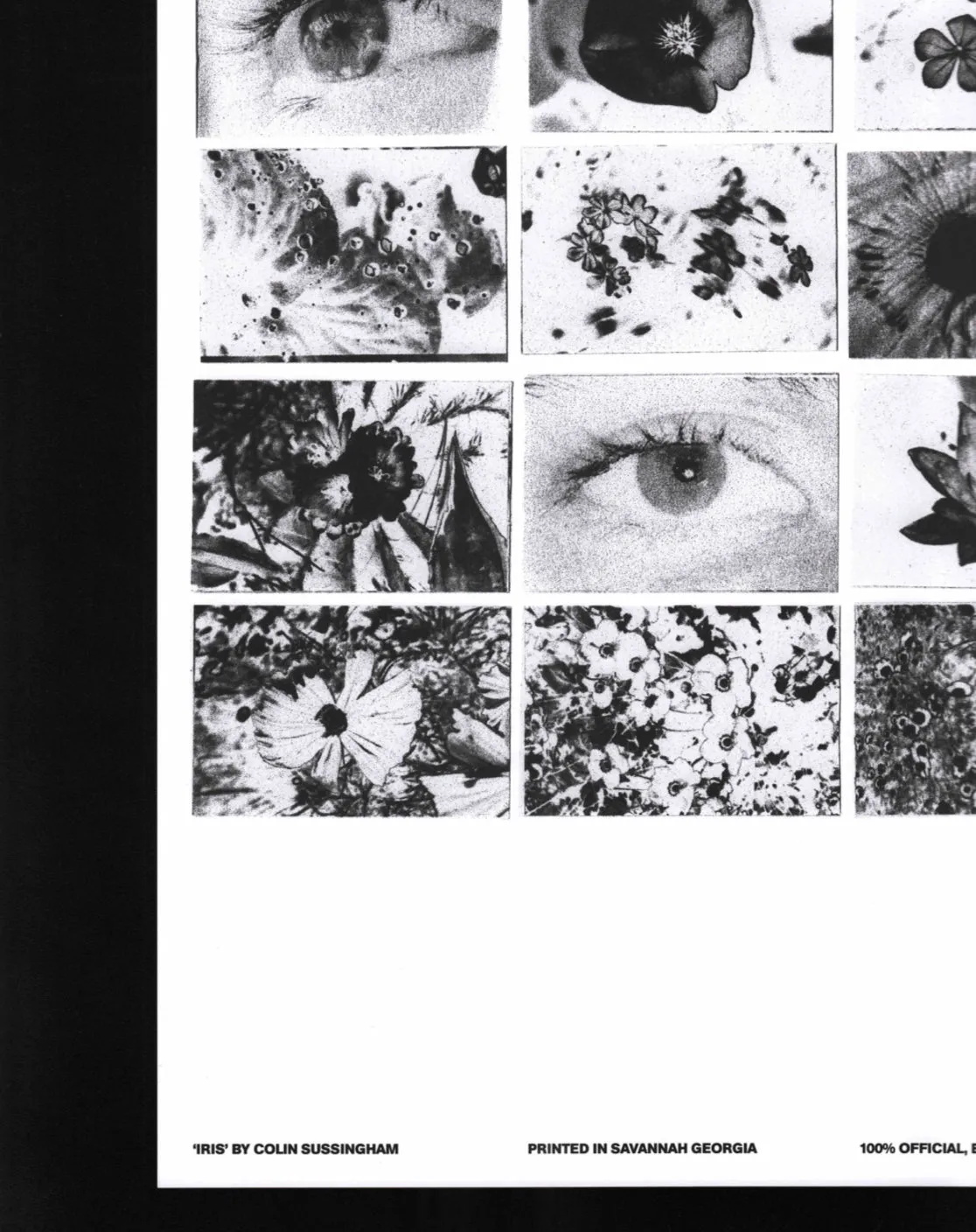 IRIS (Poster taken by Colin Sussingham) / Friend Editions