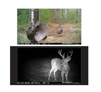LinkDarkV Cellular Trail Camera - Verison
